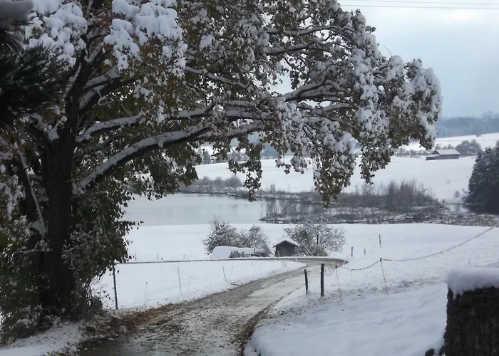 Haus Riegseeblick شقة Riegsee