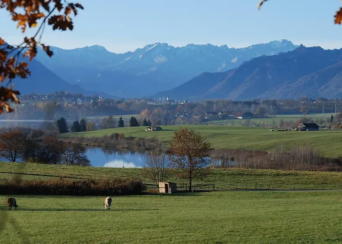 Haus Riegseeblick 아파트 *